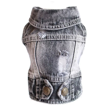 PawVibe Denim Jacket – Cool & Comfy Jean Style for Trendy Pups